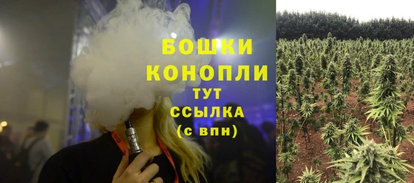 спиды Медвежьегорск