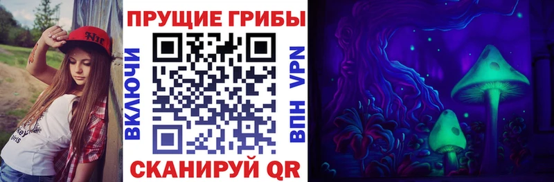 Псилоцибиновые грибы Psilocybine cubensis  Петров Вал 